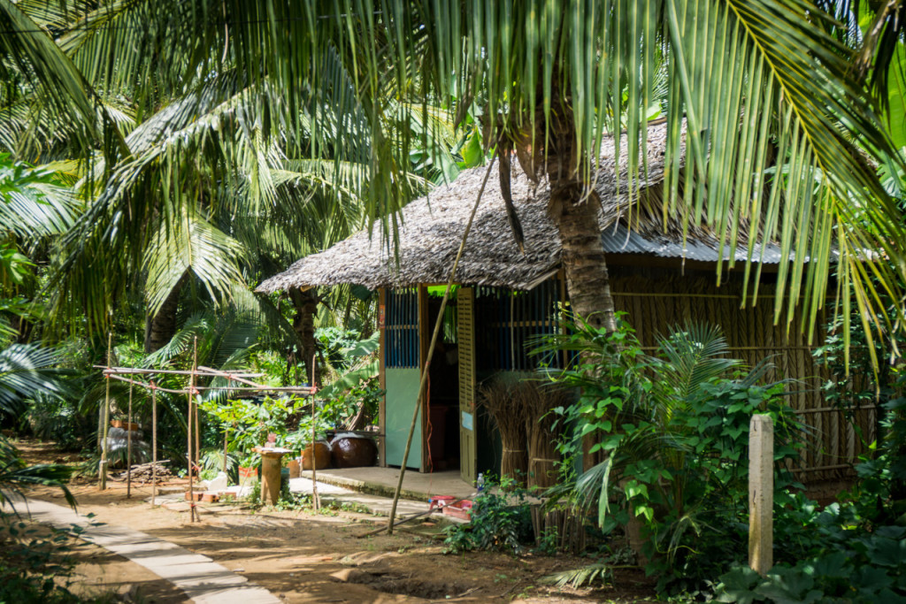 Mekong Delta Full-Day Tour from Ho Chi Minh City (Mekong Delta Full-Day Tour from Ho Chi Minh City - Premier Tour) - 3