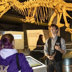 Melbourne Museum: Home of Dinosaurs Guided Tour - 3