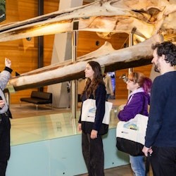 Melbourne Museum: Melbourner Geschichte Tour - 1