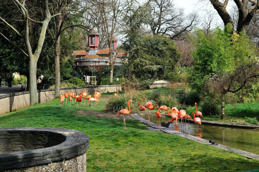 Ménagerie, Zoo of the Jardin des Plantes (Ménagerie, Zoo of the Jardin des Plantes - Skip The Line Admission) - 3