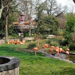 La Ménagerie, le Zoo du Jardin des Plantes de Paris : billet coupe-file - 3