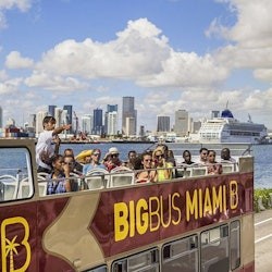 Miami: Bus Tour + Bay Cruise + Everglades Holiday Park Airboat Ride - 2