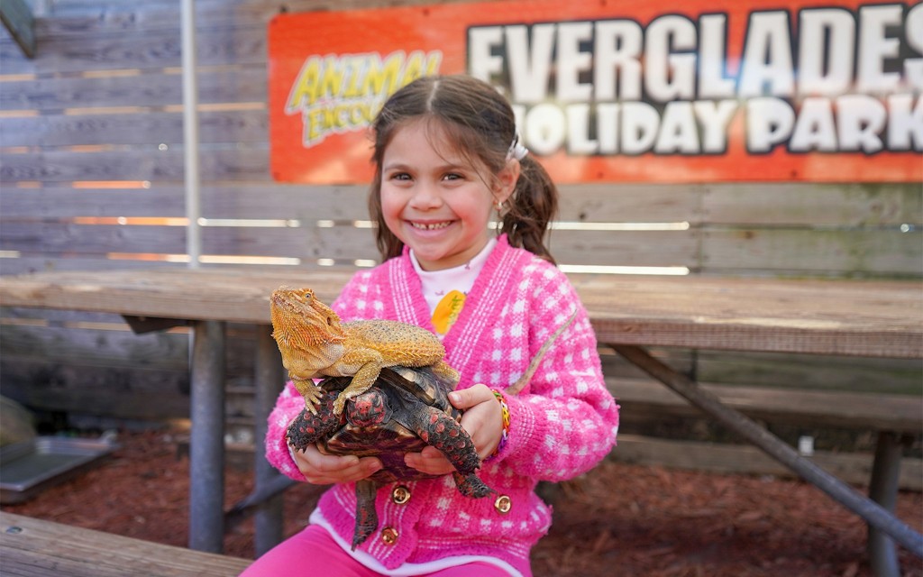 Miami: Tour en hidrodeslizador por Everglades Holiday Park con espectáculo de caimanes (Airboat Tour with Animal Encounter) - 3