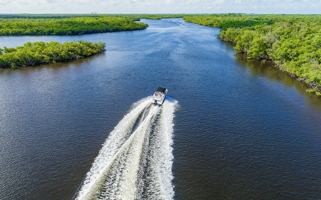 Miami: Tour en hidrodeslizador por Everglades Holiday Park con espectáculo de caimanes (Airboat Tour with Wildlife Show) - 1