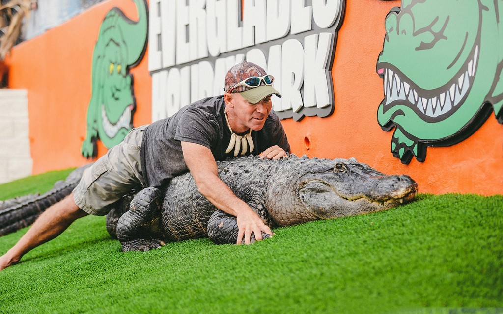 Miami: Tour en hidrodeslizador por Everglades Holiday Park con espectáculo de caimanes (Airboat Tour with Wildlife Show) - 2