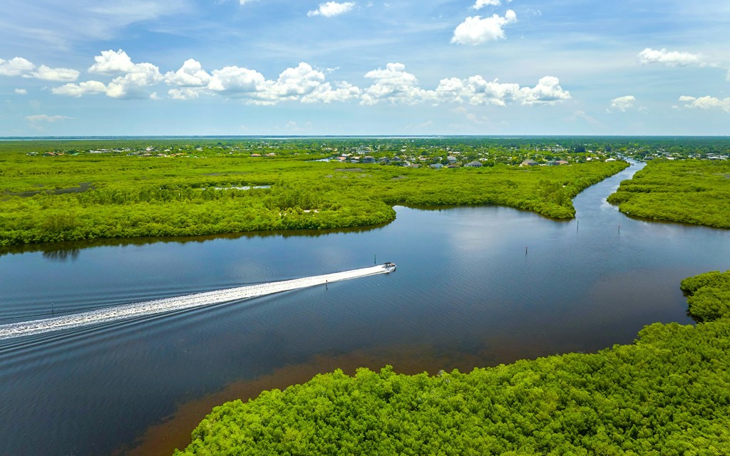 Miami: Tour en hidrodeslizador por Everglades Holiday Park con espectáculo de caimanes (Airboat Tour with Wildlife Show & Transportation from Miami) - 1