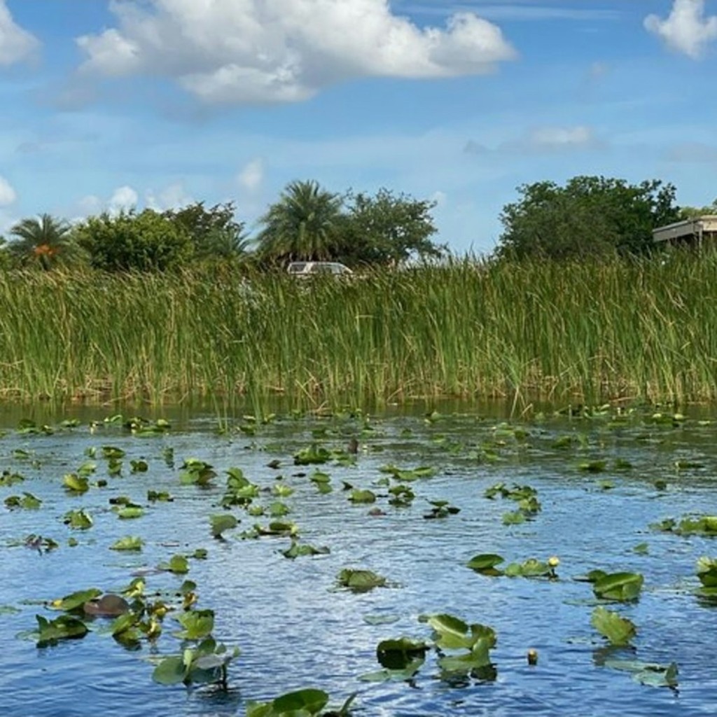 Miami: Everglades National Park Guided Tour + Airboat Ride from South Beach - 1