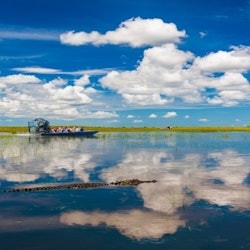 Miami: Everglades Safari Park Express Tour + Airboat Ride - 1