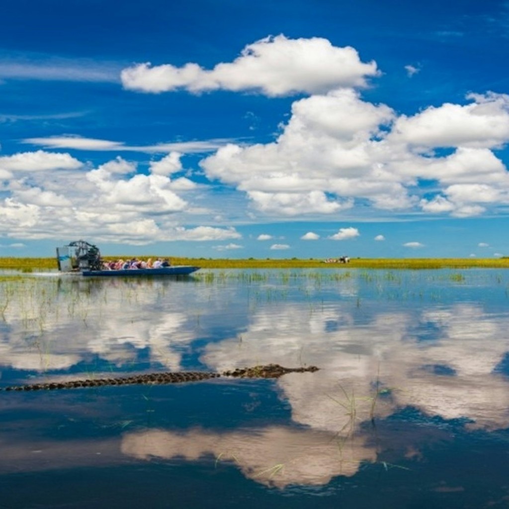 迈阿密:大沼泽地野生动物园快线之旅+乘坐Airboat - 1