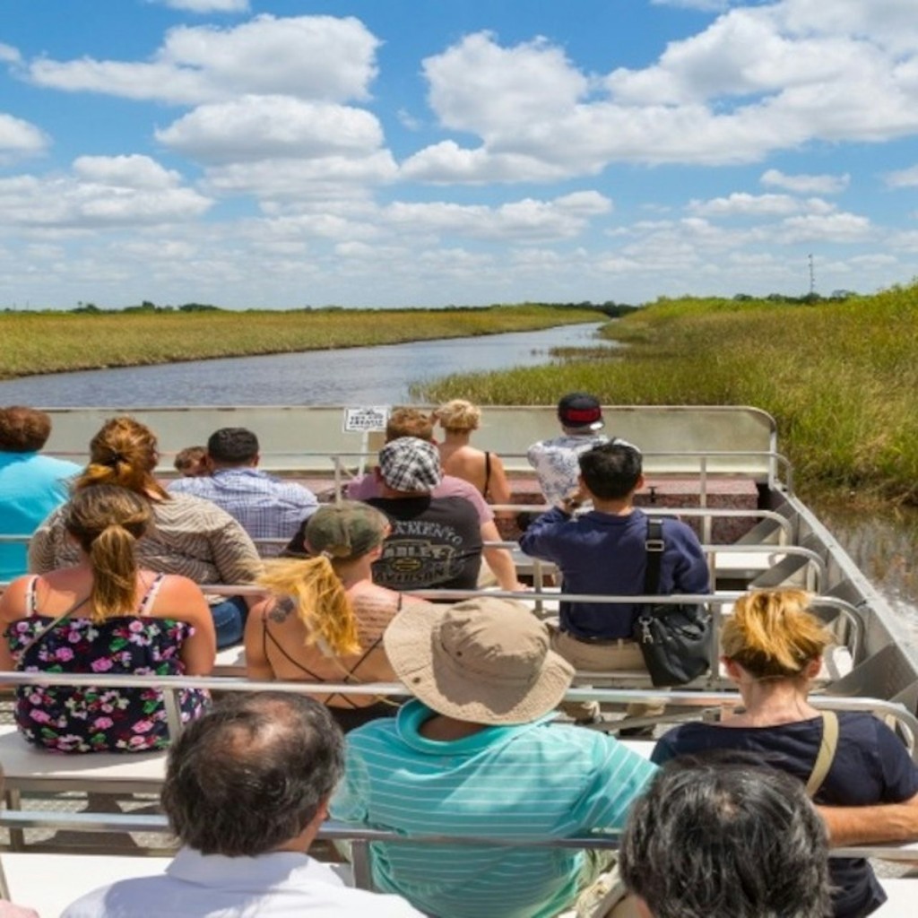 迈阿密:大沼泽地野生动物园快线之旅+乘坐Airboat - 2