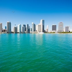Miami: Guided City Tour + Biscayne Bay Cruise + Dolphin Mall Visit + Transfers - 2
