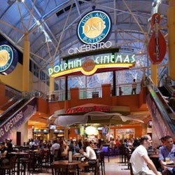 Miami: Guided City Tour + Biscayne Bay Cruise + Dolphin Mall Visit + Transfers - 3