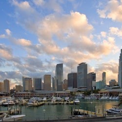 Miami: Narrated City Tour by Bus - 3