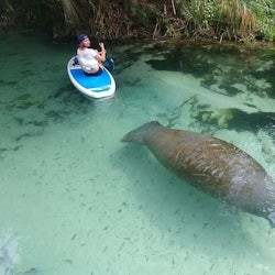 Miami: Nature & Island Exploration on SUP/Kayak - 1