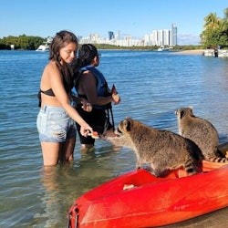 Miami: Nature & Island Exploration on SUP/Kayak - 2