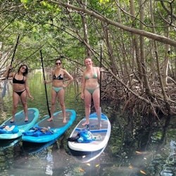 Miami: Nature & Island Exploration on SUP/Kayak - 3