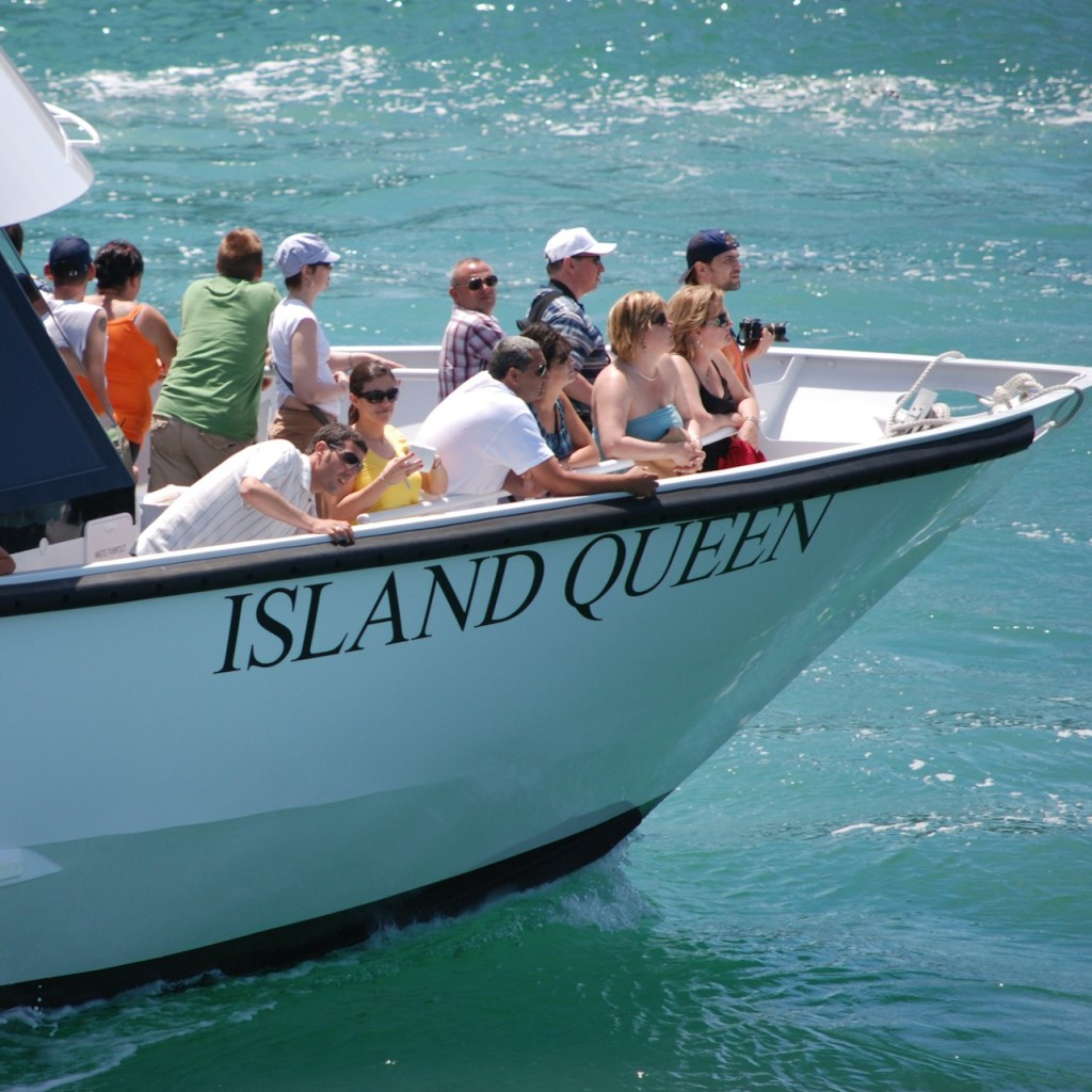 Miami: visita panoràmica de la ciutat + creuer en iot - 1