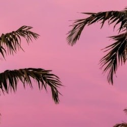 Miami: Scenic Night Driving Tour + Skyviews Observation Wheel - 2