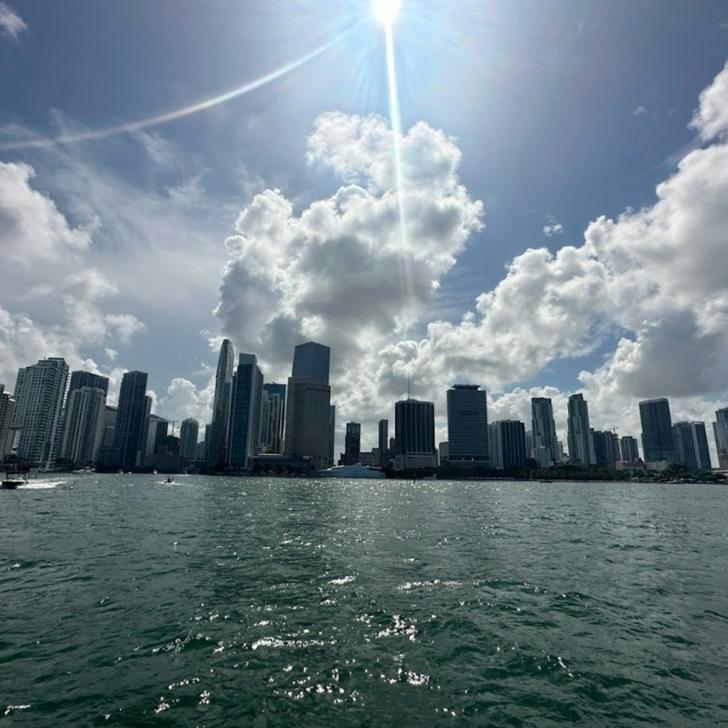 Miami: Skyline Day Cruise mit Mojito Bar - 1