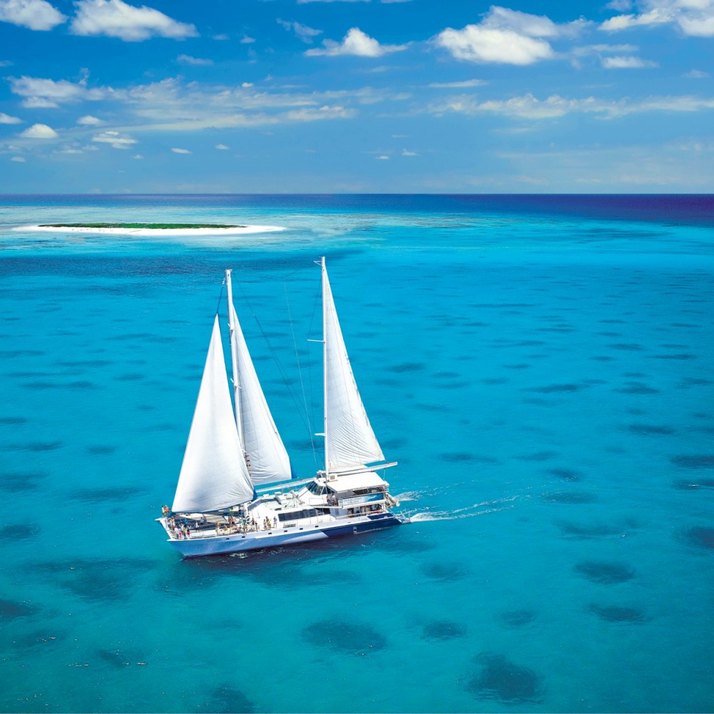 Creuer a vela per la Gran Barrera de Corall de Michaelmas Cay des de Cairns - 1