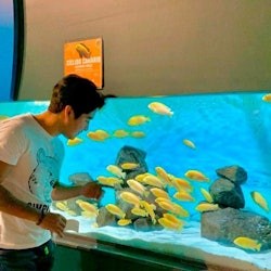 Michin Aquarium Puebla: Entry Ticket - 2