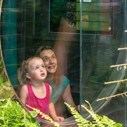 Micropolis - The City of Insects - 2