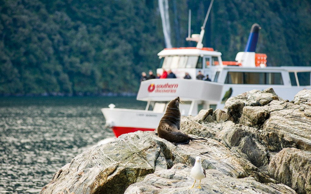 Erweiterte Schifffahrt durch den Milford Sound mit optionalem Mittagessen von Southern Discoveries (From Queenstown: Return Transfers with Cruise and Lunch) - 3