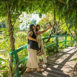 ジヴェルニーのモネの庭：パリ発半日オーディオガイドツアー - 2