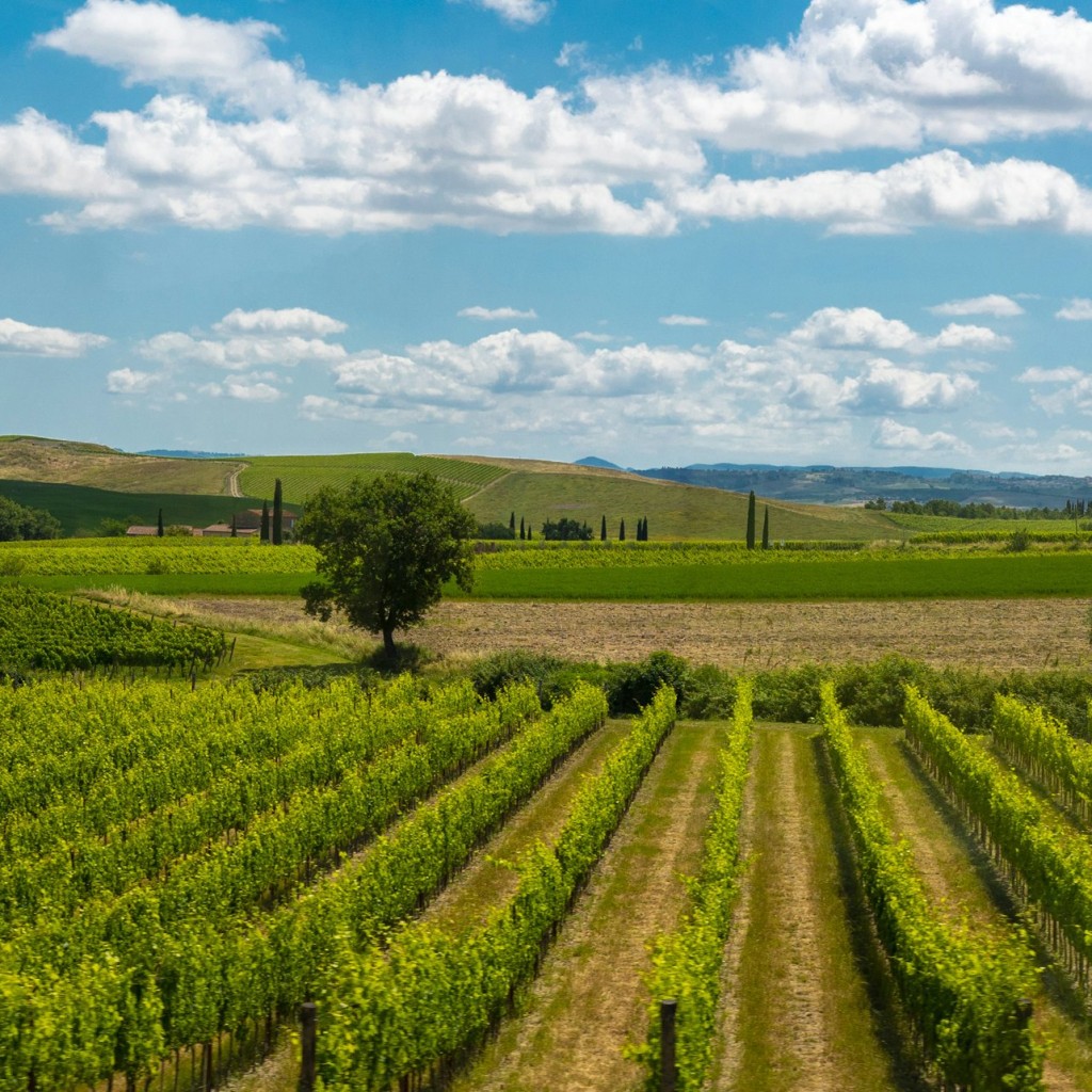 Monteriggioni & Val d'Orcia: Bus Transfer from Florence - 2