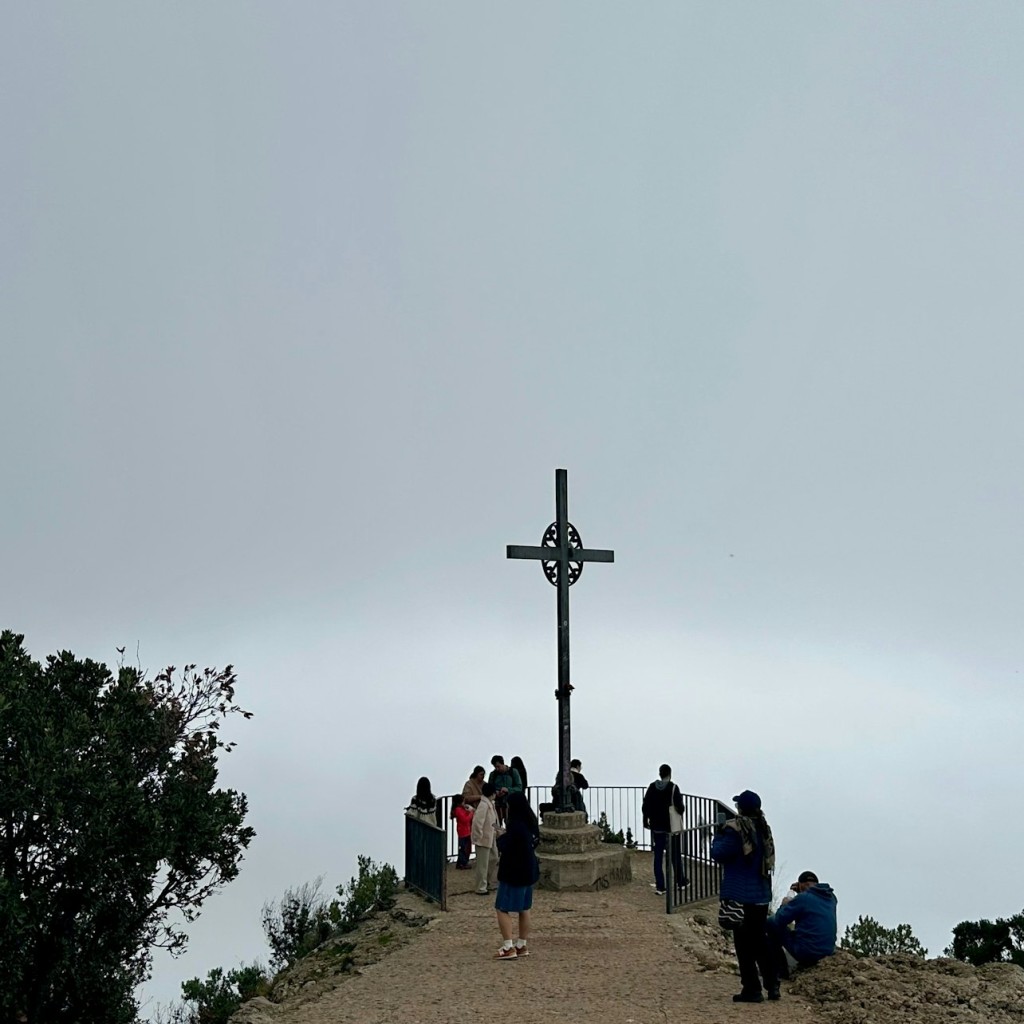 Montserrat: excursão guiada de meio dia saindo de Barcelona - 3