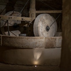 MOOM Matera Olive Oil Museum: Entry Ticket - 2