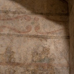 MOOM Matera Olive Oil Museum: Entry Ticket - 3