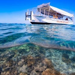 Moore Reef: Pontoon Tour from Cairns + Lunch + Snorkeling - 1