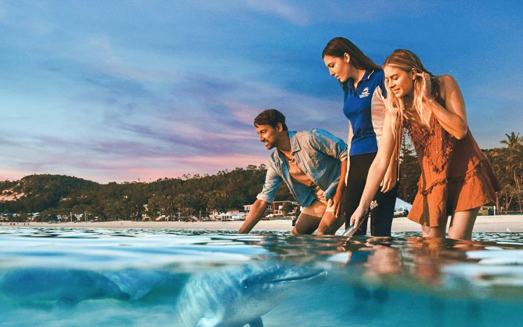 Moreton Island: Tangalooma Resort Cruise mit Quad Tour und Delfinfütterung (Moreton Island: Tangalooma Resort Cruise with Quad Bike Tour and Dolphin Feeding) - 1