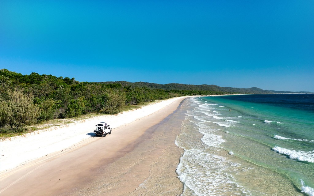 Isla Moreton: Tangalooma Wrecks & Lighthouse Sightseeing tour con almuerzo (General) - 3