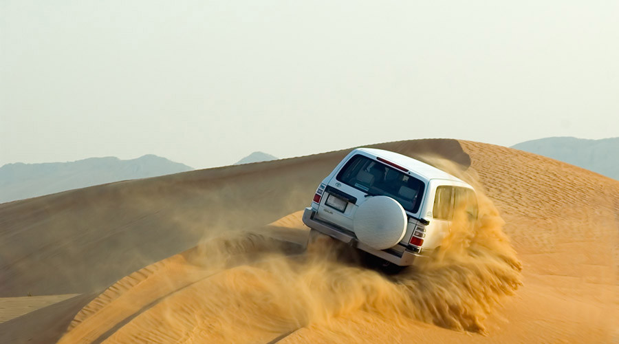Morning Desert Safari Tour from Dubai - 1