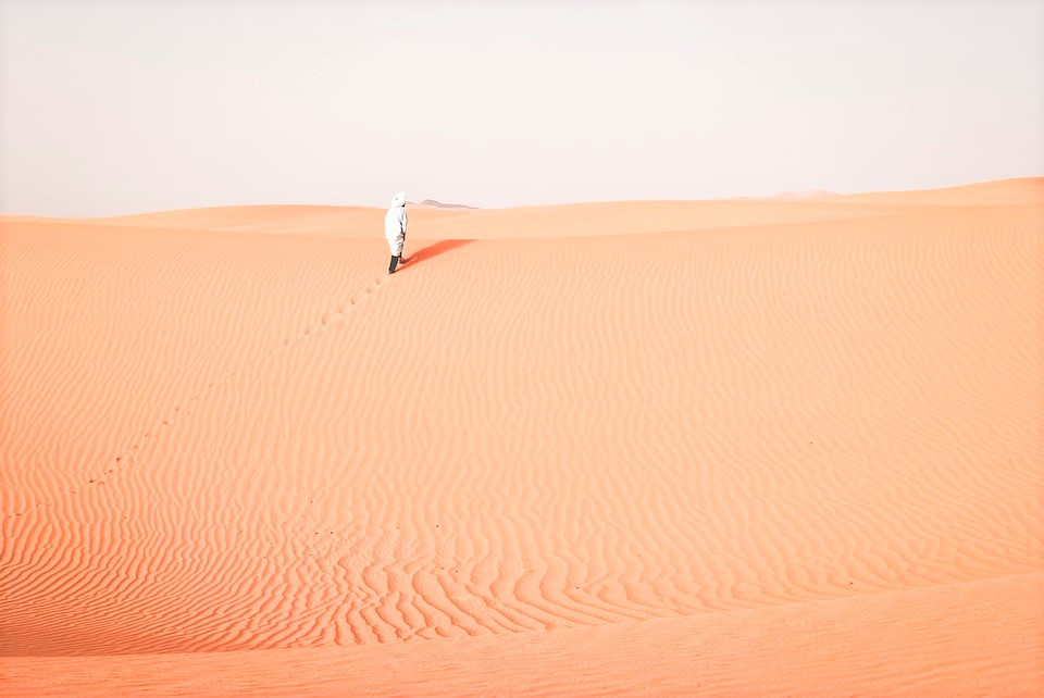 Morning Desert Safari Tour from Dubai (Morning Desert Safari Tour from Dubai with 200cc Polaris Ride) - 2