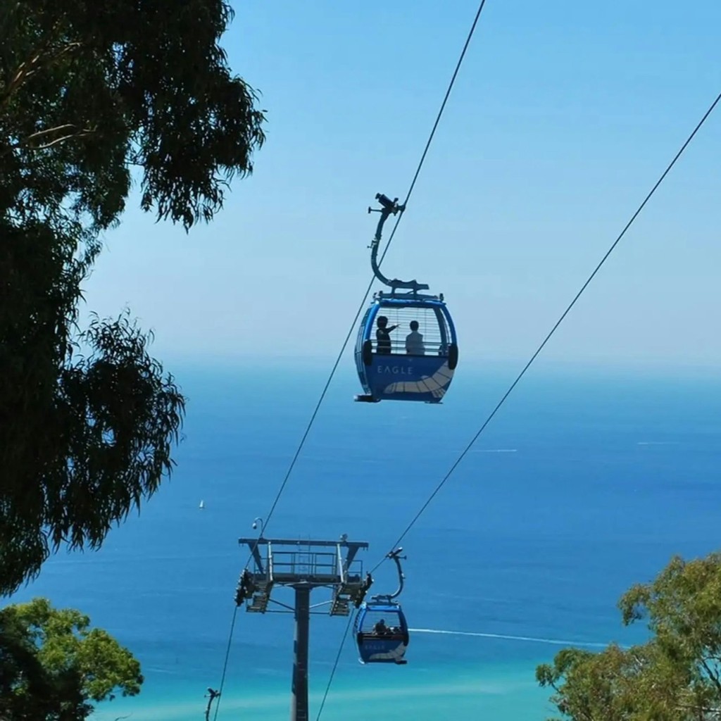 Mornington Peninsula: Arthurs Seat Eagle Gondola Ticket - 1