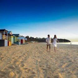 Mornington Peninsula Food & Wine Taste Trail - 1