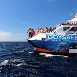 Morro Jable: Glass-Bottom Boat Tour + Lunch - 2