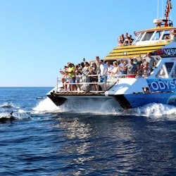 Morro Jable: Glass-Bottom Boat Tour + Lunch - 3