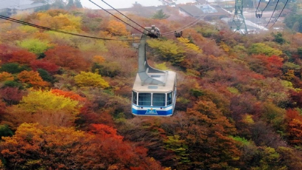 Mount Fuji and Hakone Tour (Mount Fuji and Hakone Tour by coach) - 3