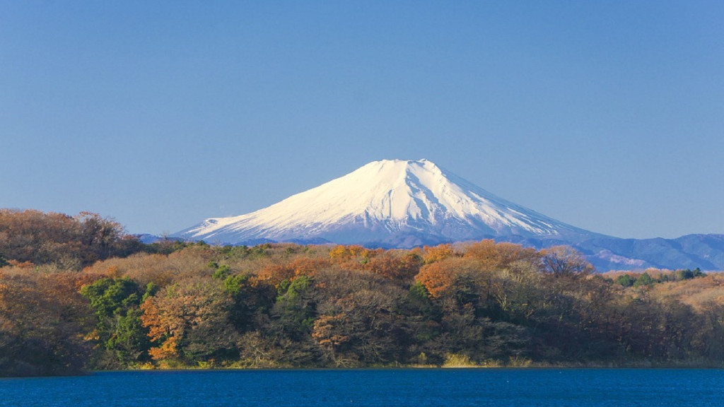 Mount Fuji and Hakone Tour (Mount Fuji and Hakone Tour by coach with lunch) - 1