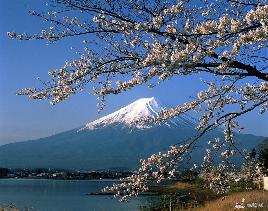 Mount Fuji and Oshino Hakkai Ole Hot Spring Full-Day Tour from Tokyo - 1