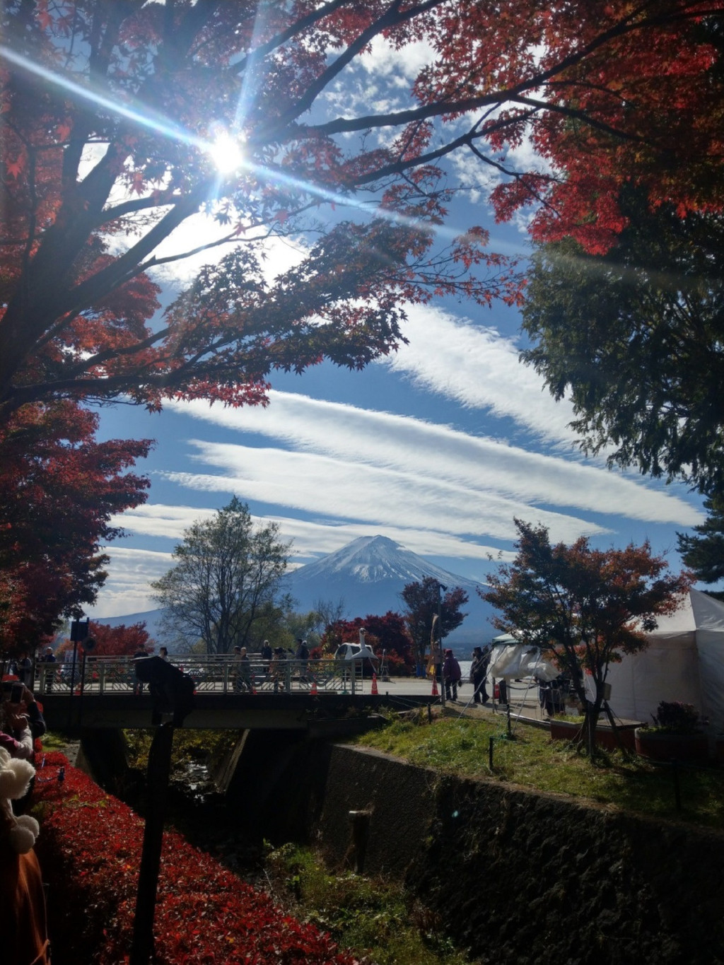 Mount Fuji Day Tour with Kawaguchiko Lake (Mount Fuji Day Tour with Kawaguchiko Lake (from Shinjuku)) - 2