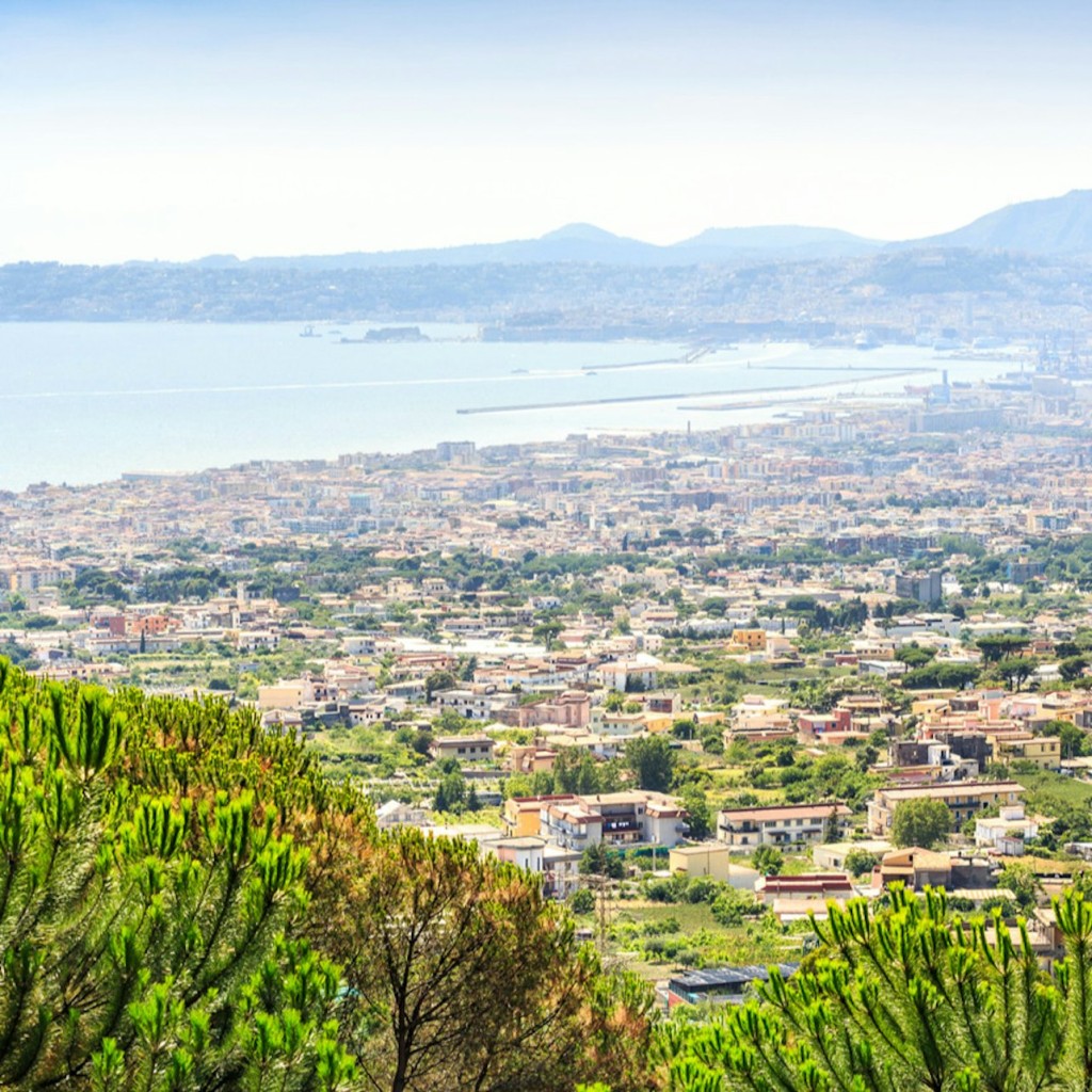 Mount Vesuvius: Entry Ticket + Guidebook - 3