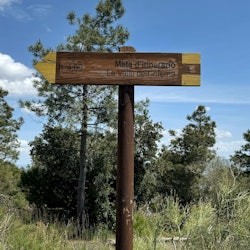 Monte Vesubio: Entrada sin colas + Excursión en bicicleta + Tren de ida y vuelta desde Nápoles - 3
