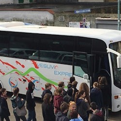 Mount Vesuvius: Skip The Line Ticket + Roundtrip from Naples via Vesuvio Express - 2