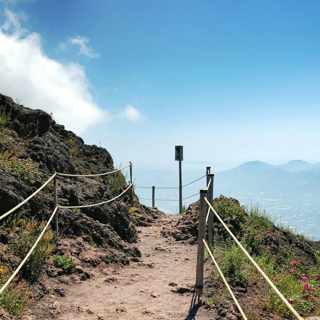 Mount Vesuvius: Transport Only from Naples - 3