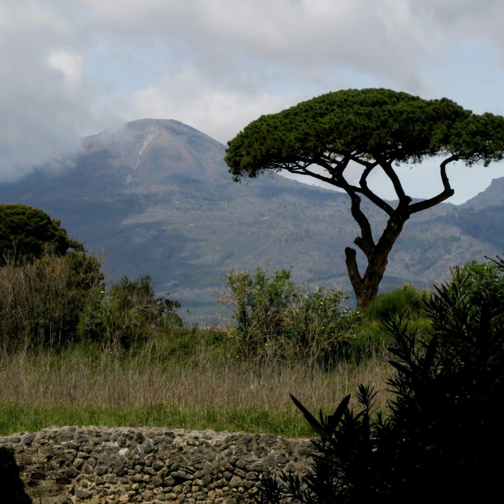 Mount Vesuvius: Transport Only from Naples - 1